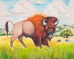 Buffalo by Michael Griego