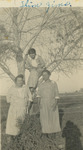 Mrs. Alexander and others with a tree