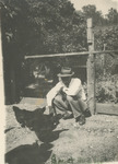 Jerome R. Collins and chickens