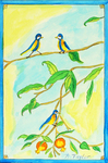 Blue Birds by California Institution for Men